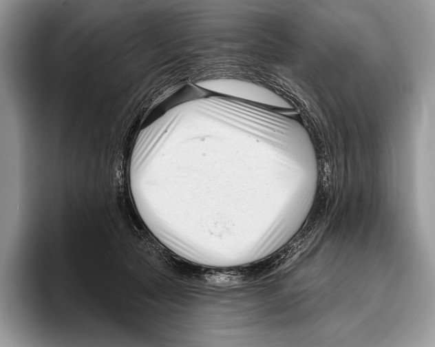 X0000095960561200802081320