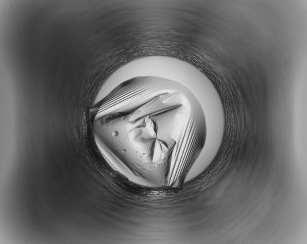 X0000095960562200802081320