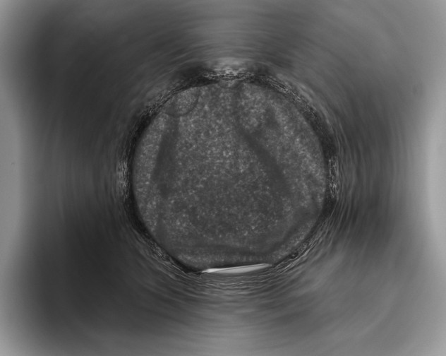 X0000095960563200802081320