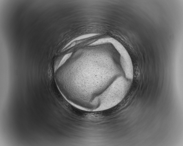 X0000095960568200802081320