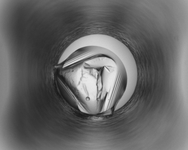 X0000095960570200802081320