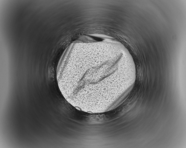 X0000095960571200802081320