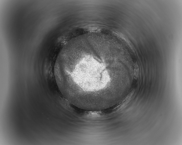 X0000095960573200802081320