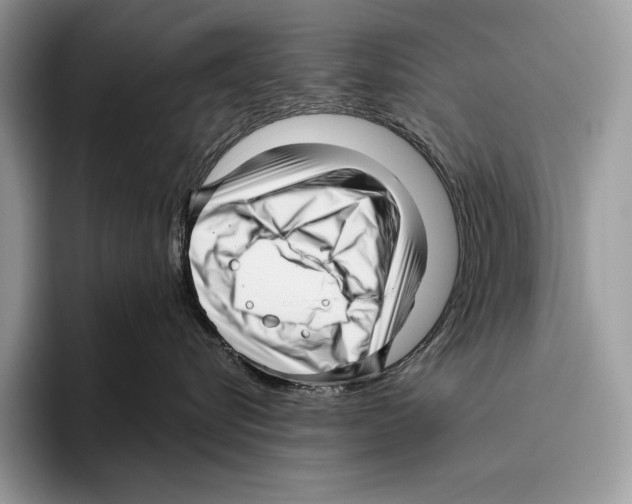X0000095960576200802081320