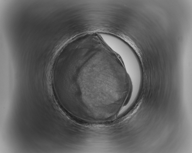 X0000095960577200802081319