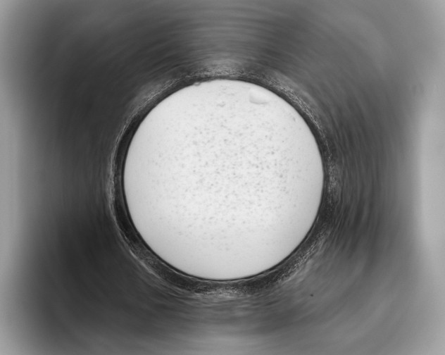 X0000095960578200802081319