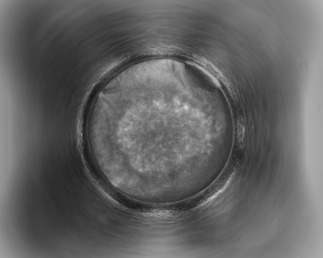 X0000095960581200802081319