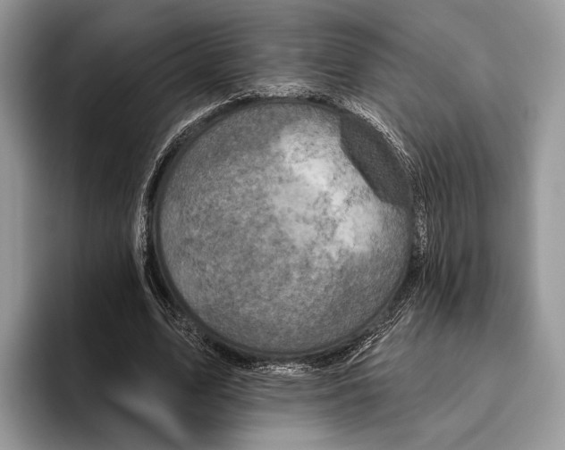 X0000095960583200802081319