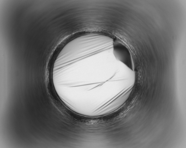 X0000095960584200802081319