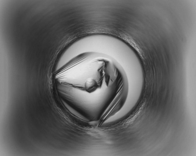 X0000095960585200802081319