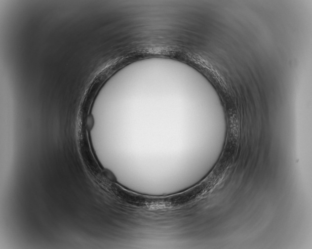 X0000095960587200802081319