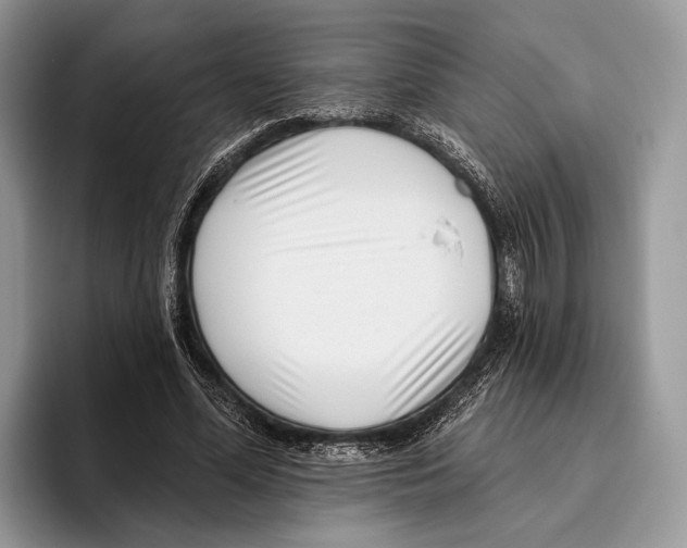 X0000095960588200802081319