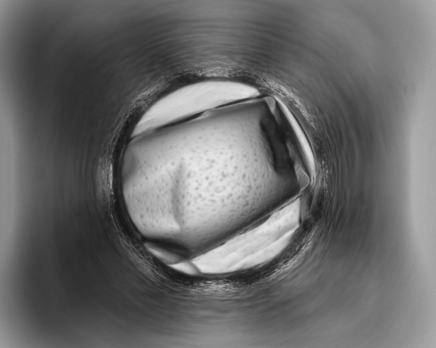 X0000095960589200802081319