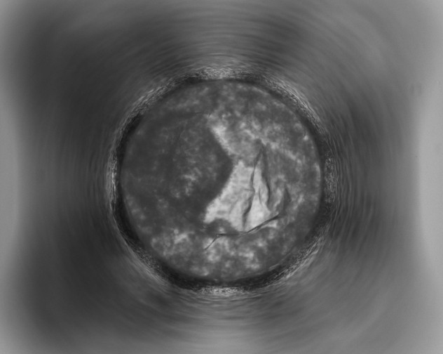 X0000095960590200802081319