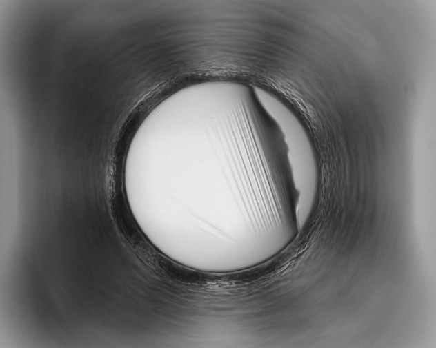 X0000095960591200802081319