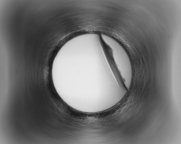 X0000095960592200802081319
