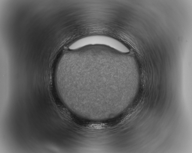 X0000095960595200802081319