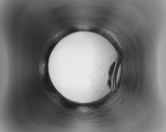 X0000095960596200802081319