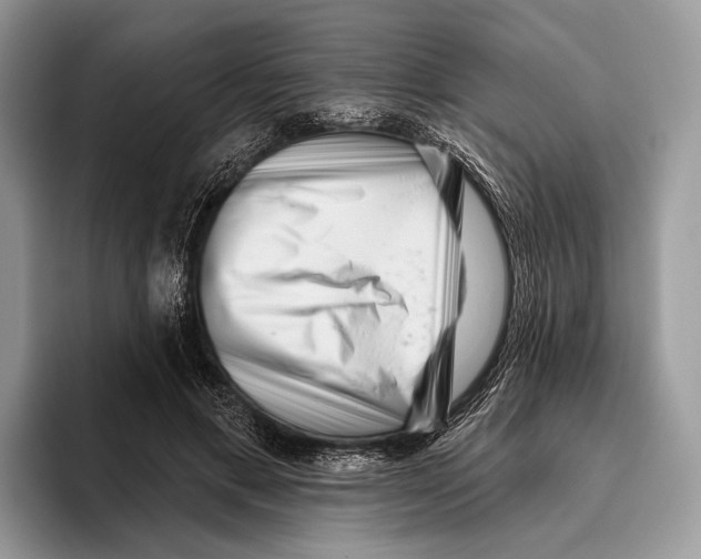 X0000095960597200802081319