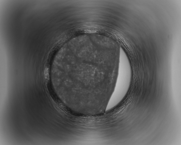 X0000095960598200802081319
