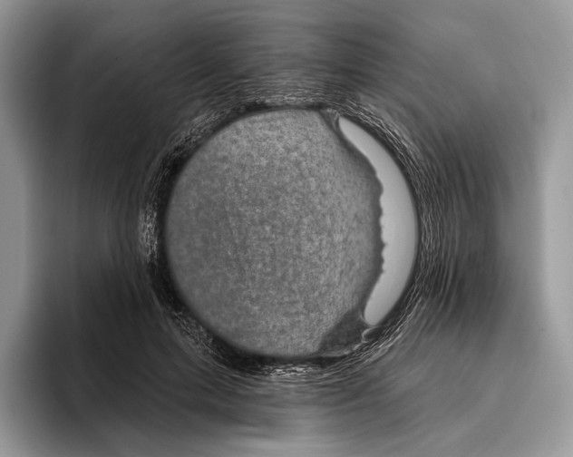 X0000095960599200802081319