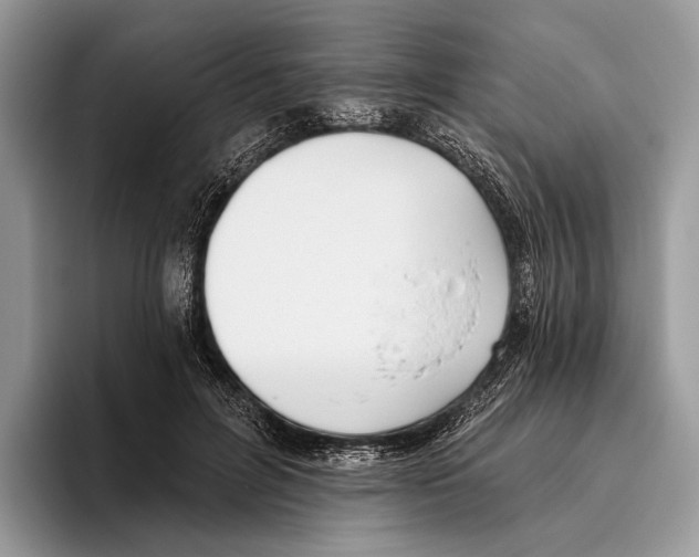 X0000095960600200802081319