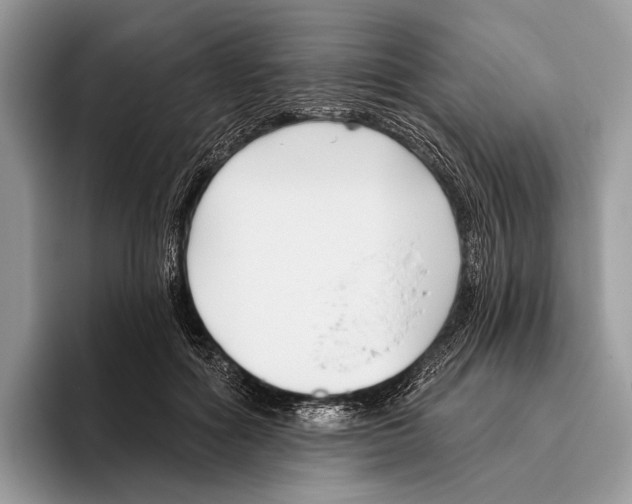 X0000095960602200802081319