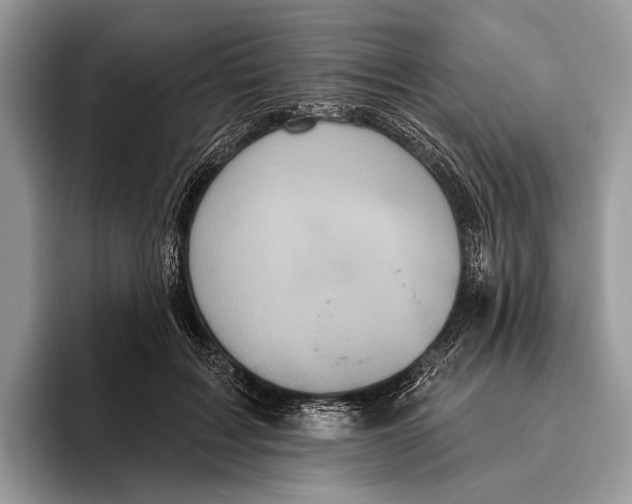X0000095960603200802081319