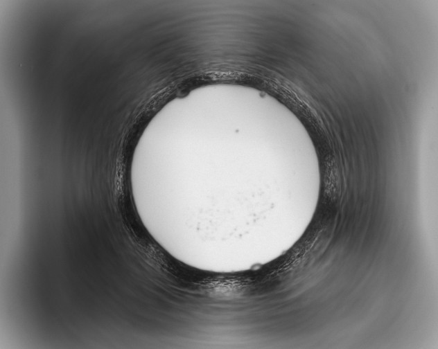 X0000095960604200802081319