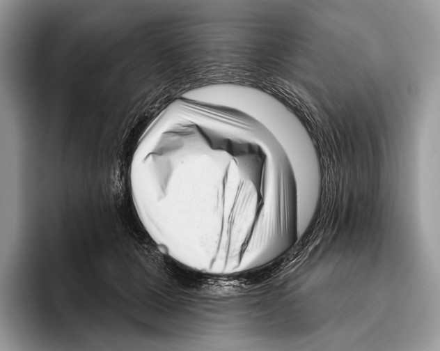 X0000095960607200802081319