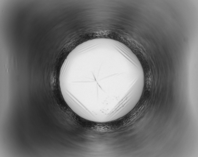X0000095960608200802081319