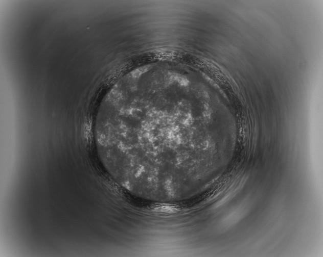 X0000095960610200802081319