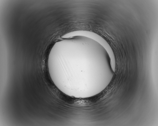 X0000095960611200802081319
