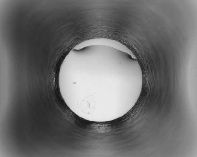 X0000095960615200802081319