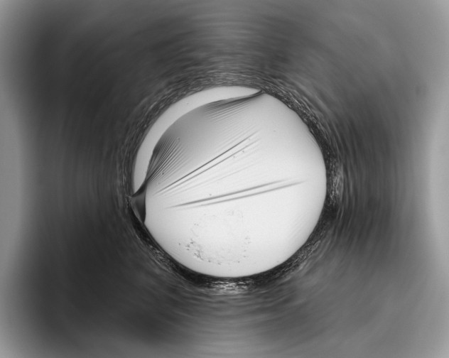 X0000095960616200802081319