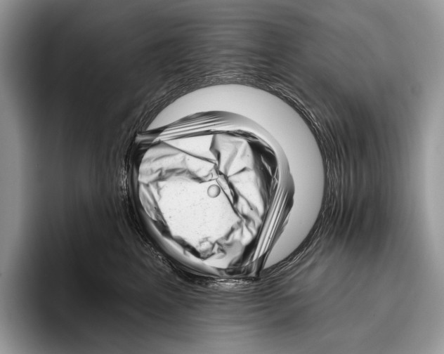 X0000095960617200802081319