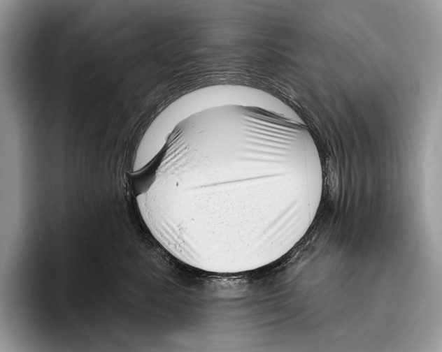 X0000095960619200802081319