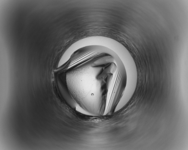 X0000095960620200802081319