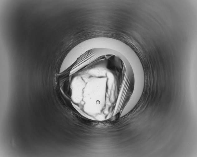 X0000095960621200802081319