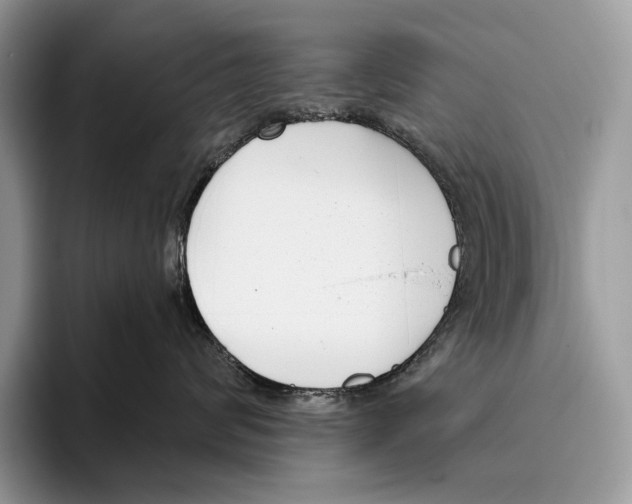 X0000095960624200802081319