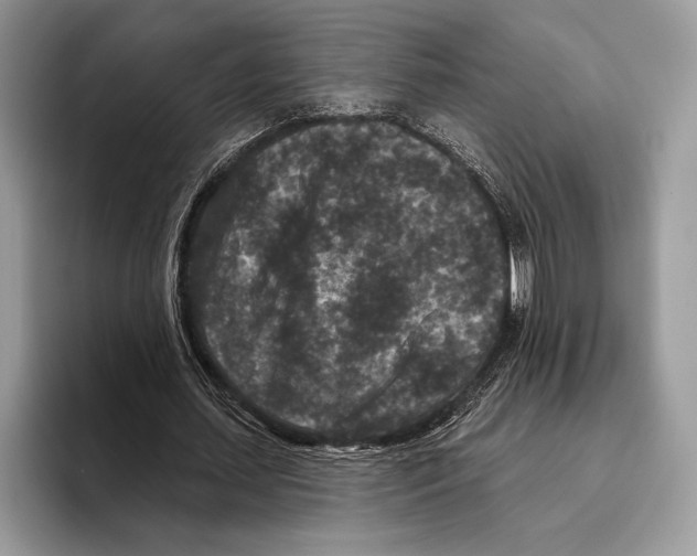 X0000095960627200802081318