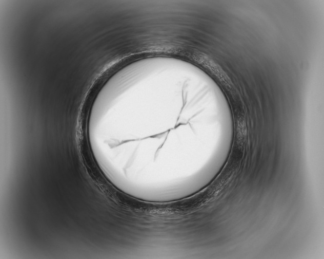 X0000095960628200802081318