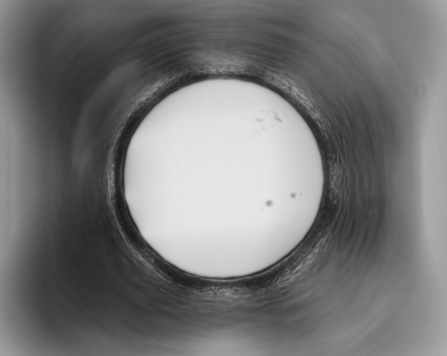 X0000095960629200802081318