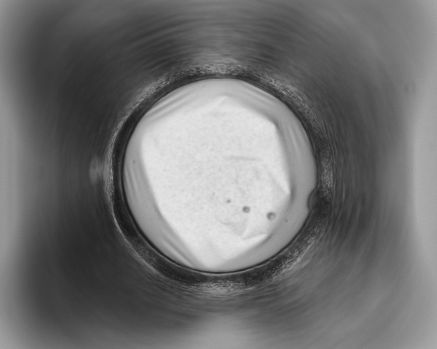 X0000095960630200802081318
