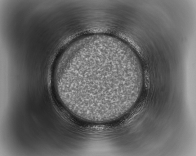 X0000095960631200802081318