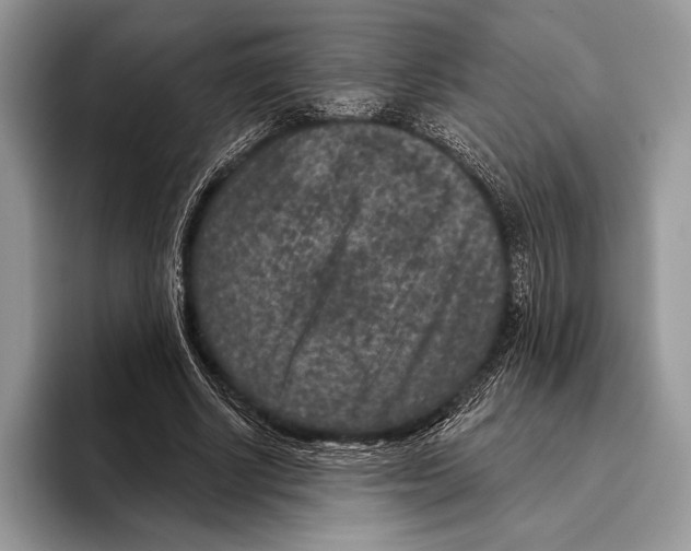 X0000095960634200802081318