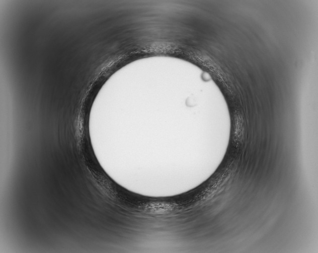 X0000095960636200802081318