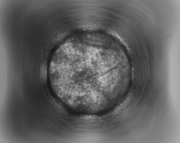X0000095960637200802081318