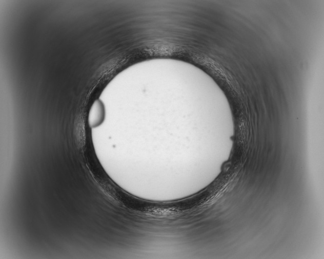 X0000095960638200802081318