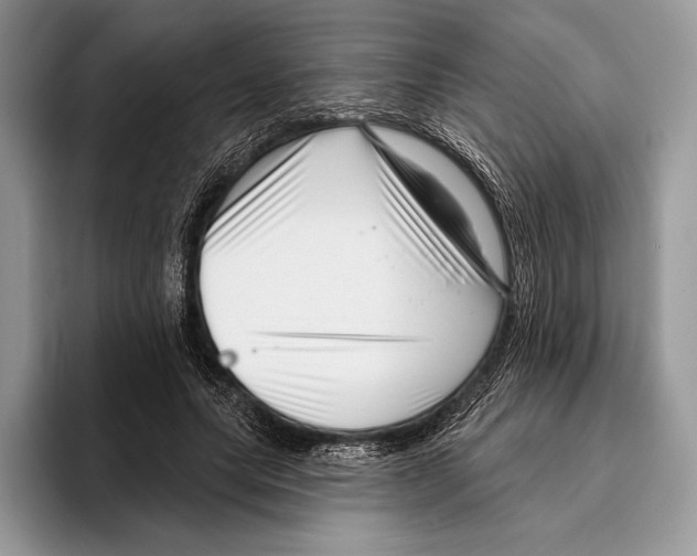X0000095960639200802081318